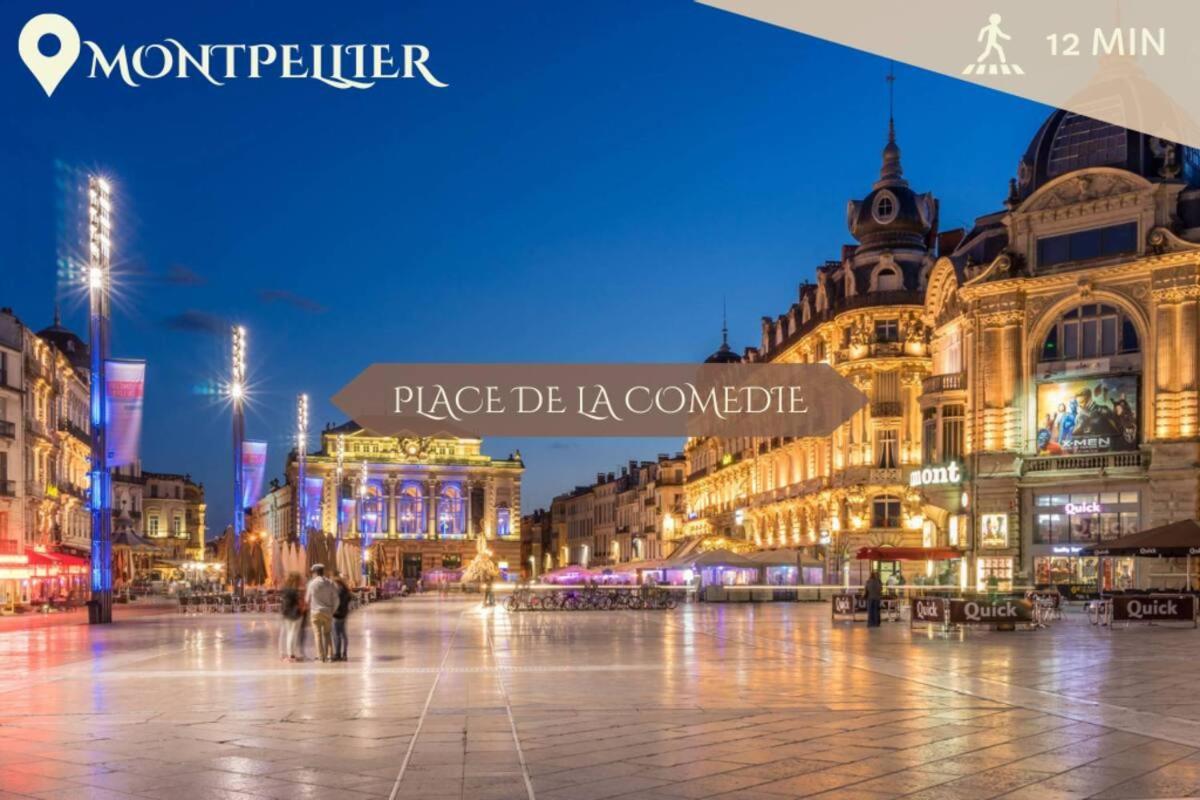 063 - Studio Didion, Centre Gare St Roch, Clim, Balcon,4Pers Монпелье Экстерьер фото